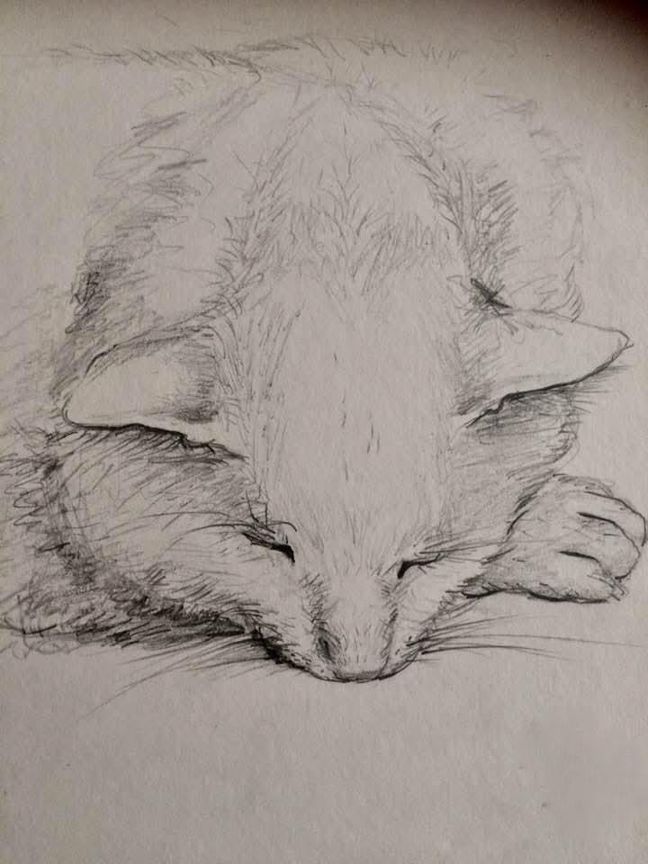 Desenler