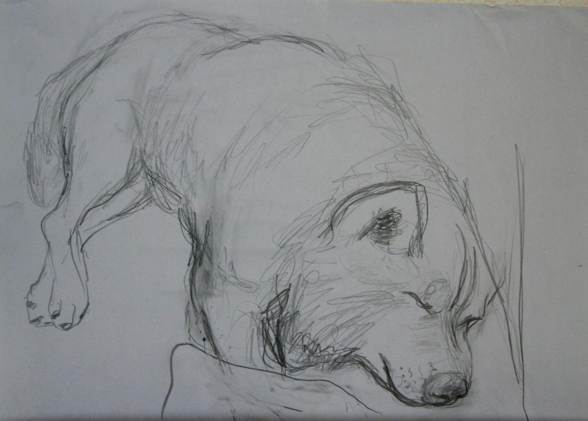 Desenler