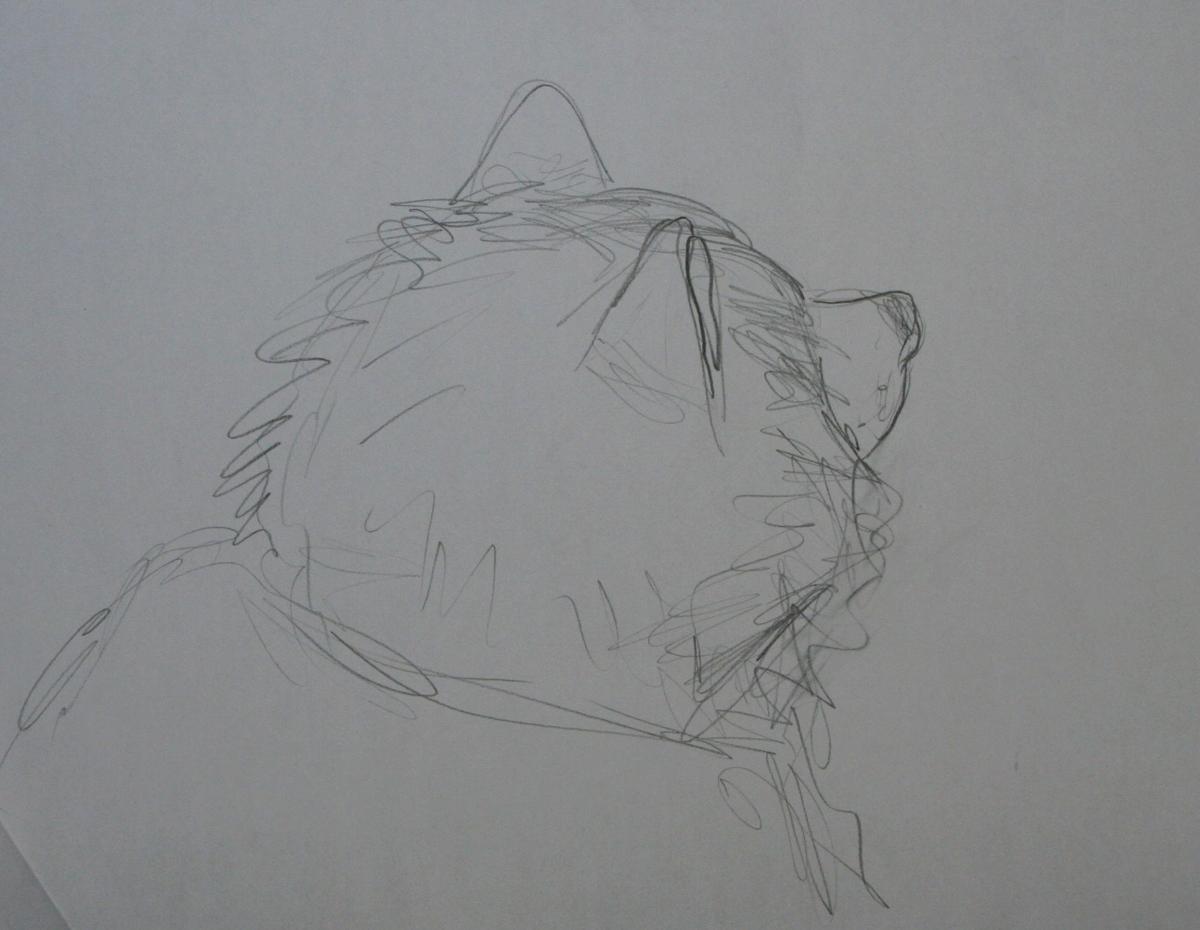 Desenler